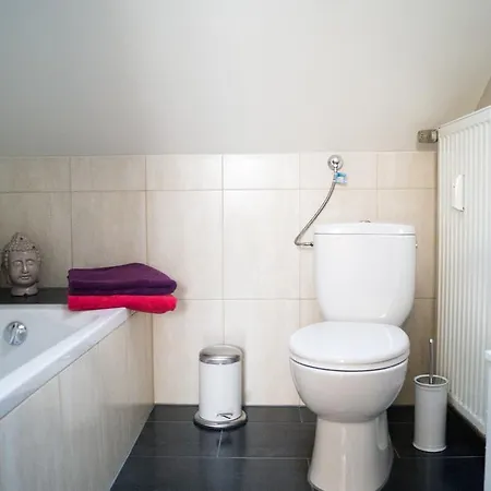Ferienwohnung Coming Apartament *